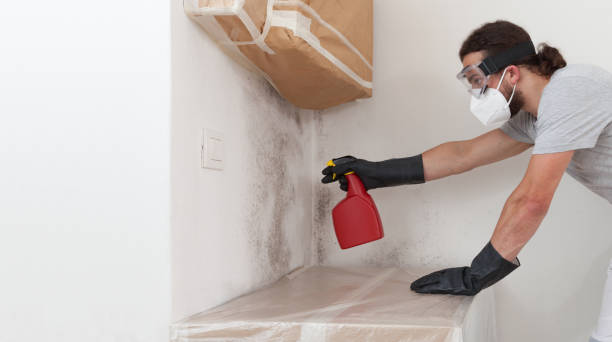 Professional Basement Mold Removal technician working in Cedar Park, TX