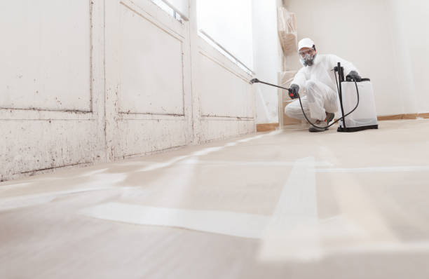 24/7 Emergency Basement Mold Removal experts in Cedar Park, TX